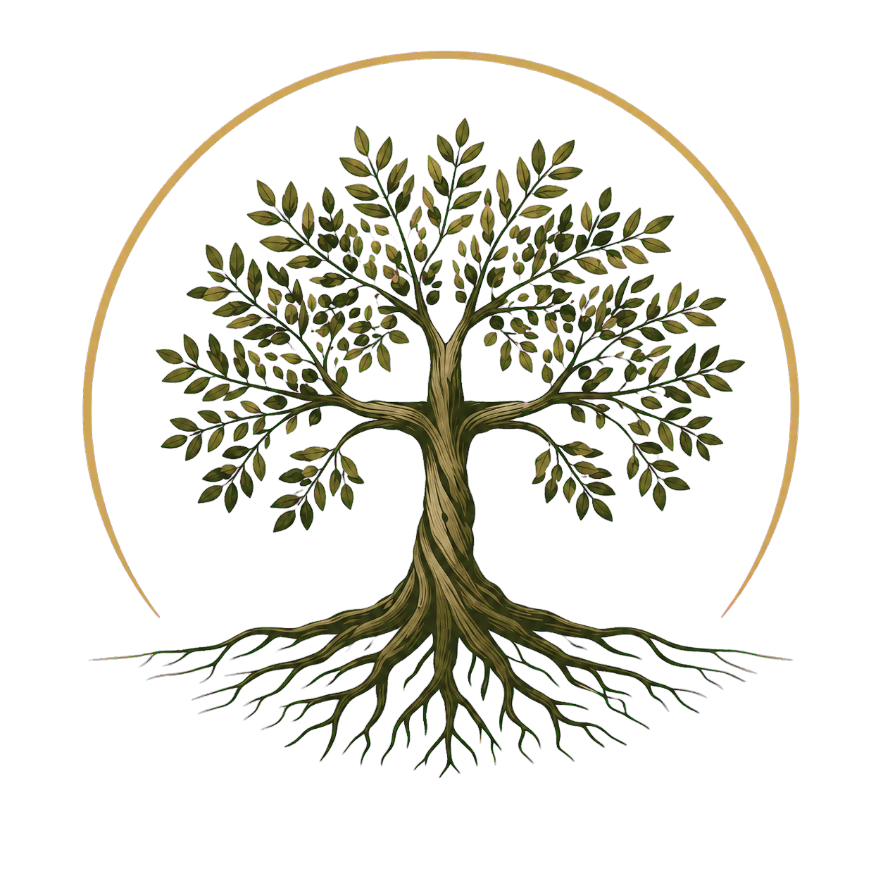 Logo des Projekts Unter dem Olivenbaum – ein Olivenbaum mit sichtbaren Wurzeln